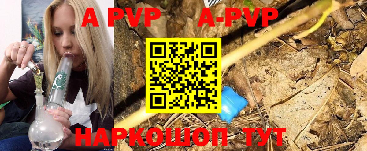 A PVP СК Губаха