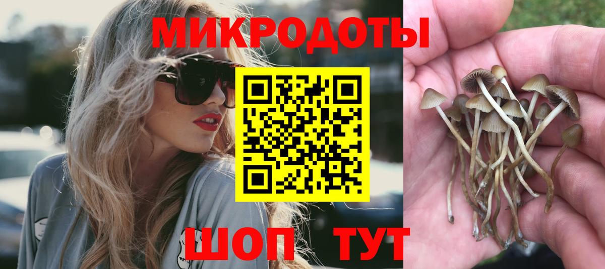 Губаха  Псилоцибиновые грибы GOLDEN TEACHER  Галлюциногенные грибы Magic Shrooms  Вход с VPN 